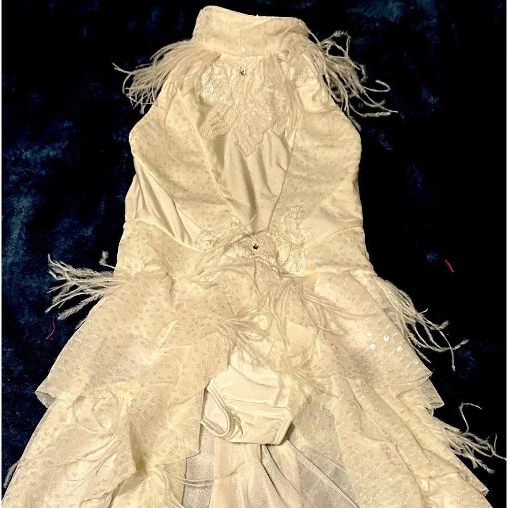 Delicate lyrical dance costume with feathers.